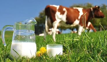 Farm Milk 0.5% Milk, 1 L - Image 2