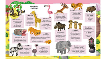 Pegas My First Sticker Book A4: Favorite Animals - Image 2