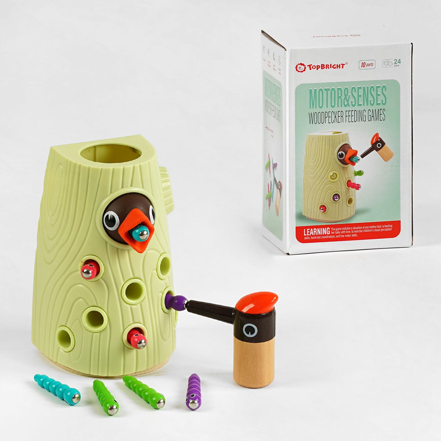 C 61430 Magnetic Woodpecker & Worm Game