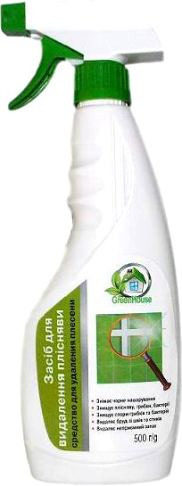 San Clean Green House Mold & Dirt Remover Spray, 500 mL