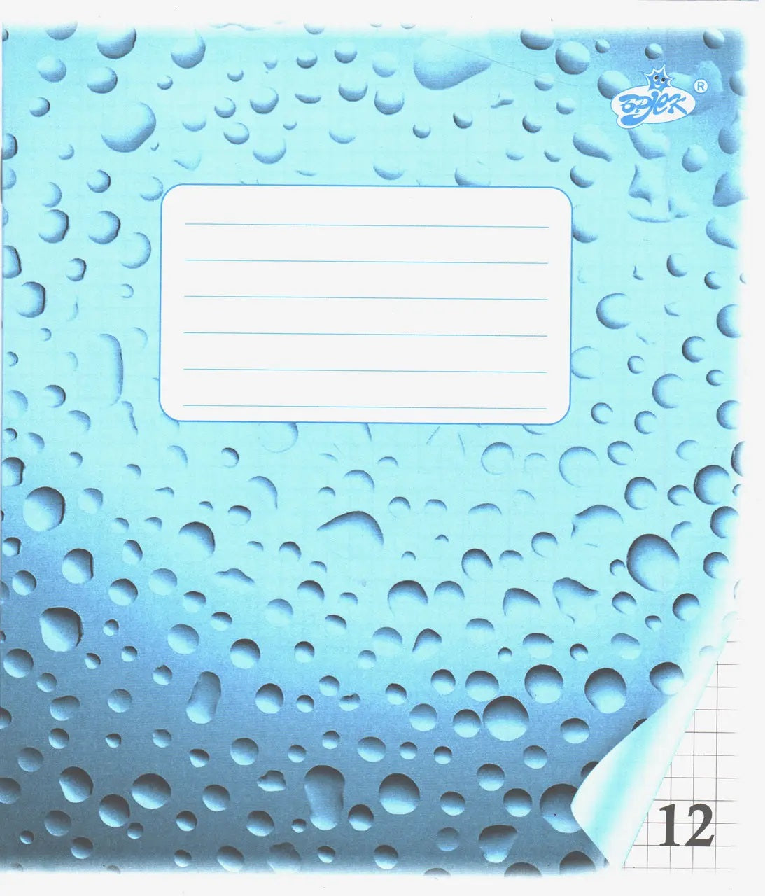 Brisk TV-50 Grid Notebook, 12 Sheets
