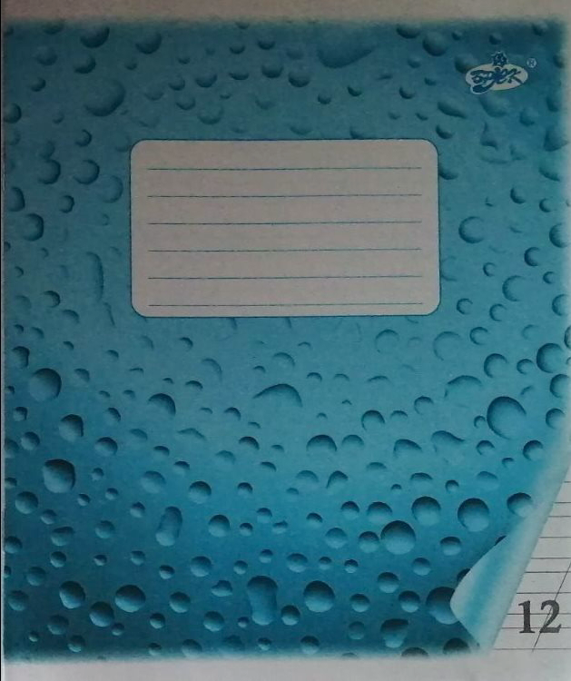 Brisk TV-50 Oblique-Line Notebook, 12 Sheets