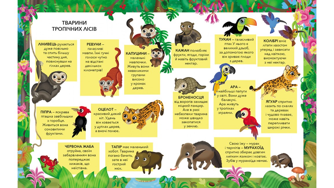 Pegas My First Sticker Book A4: Funny Animals - Image 2