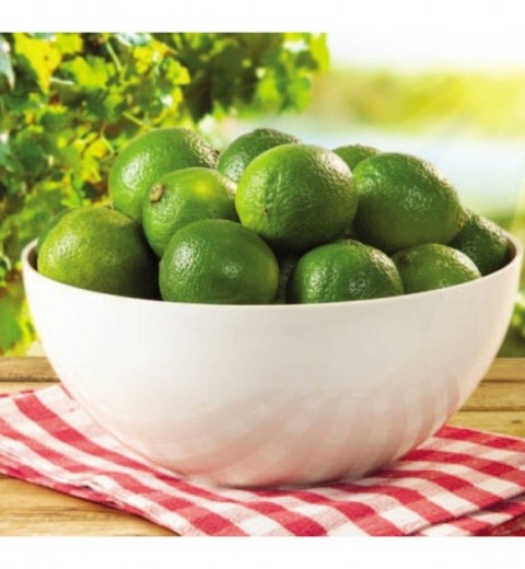 Lamela 316 Arugula Salad Bowl, 3 L - Image 4